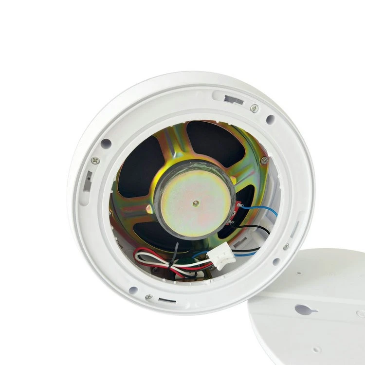 C31 (6)